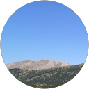 Aleix Fornes profile picture