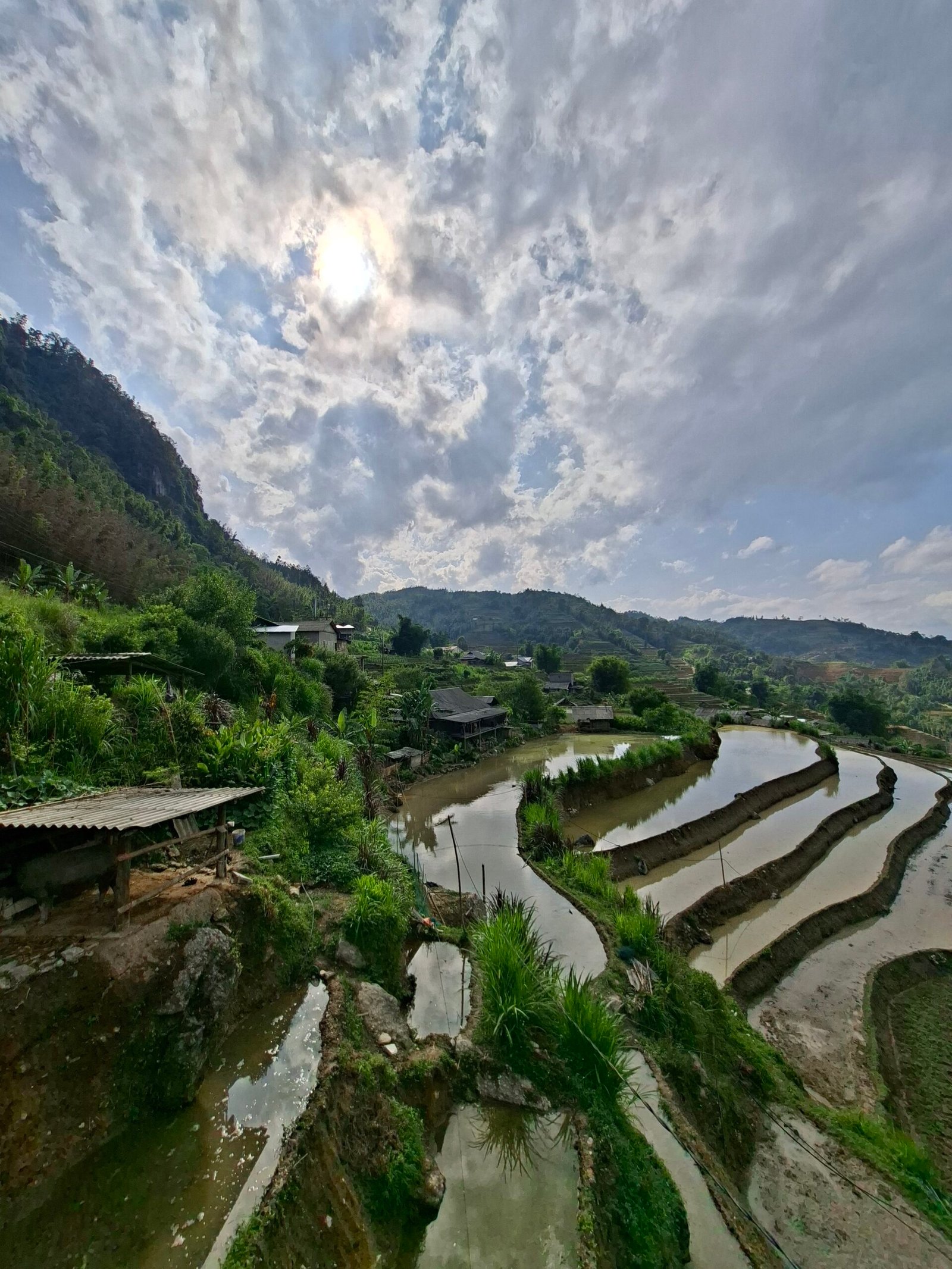 Mirrored Rice Fields