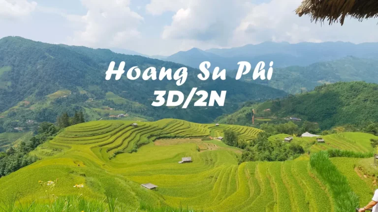 Hoang Su Phi 3 days tour — rice terraces
