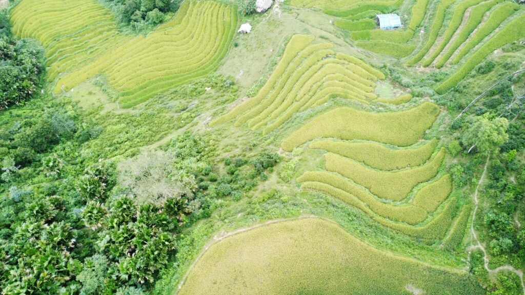 dji_fly_20231012_161918_267_1697103074134_photo_optimized